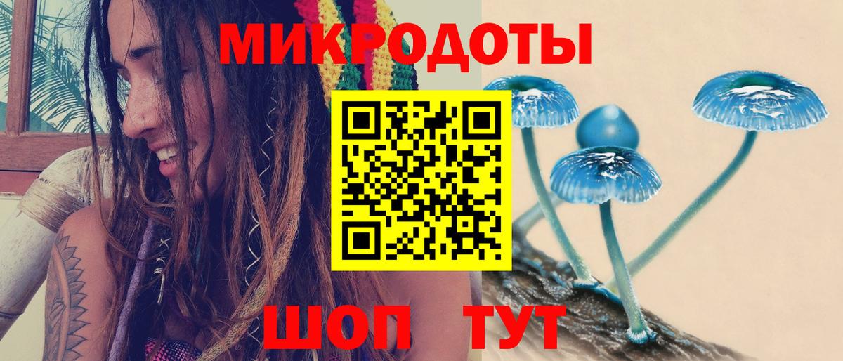 Вышний Волочёк  Псилоцибиновые грибы ЛСД  Псилоцибиновые грибы ЛСД  Вход с VPN 